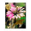 Horloge murale florale fuchsia rose-97786404