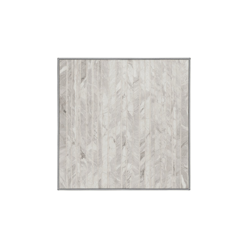 Machine Washable Gray Area Rug, Square 5'
