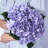 Laidley Hydrangea Arrangement-1269178872