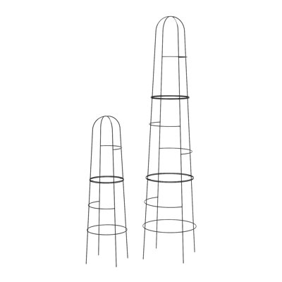 Anyree Metal Plant Support