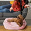 Lit pour chien Elam Super Lux Shaggy-1458585842-1458732010