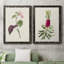 Pretty Pink Botanicals VI - 2 Piece Single Picture Frame Painting on Canvas-634548709-634549776