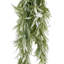 80cm Faux Plant-127681155