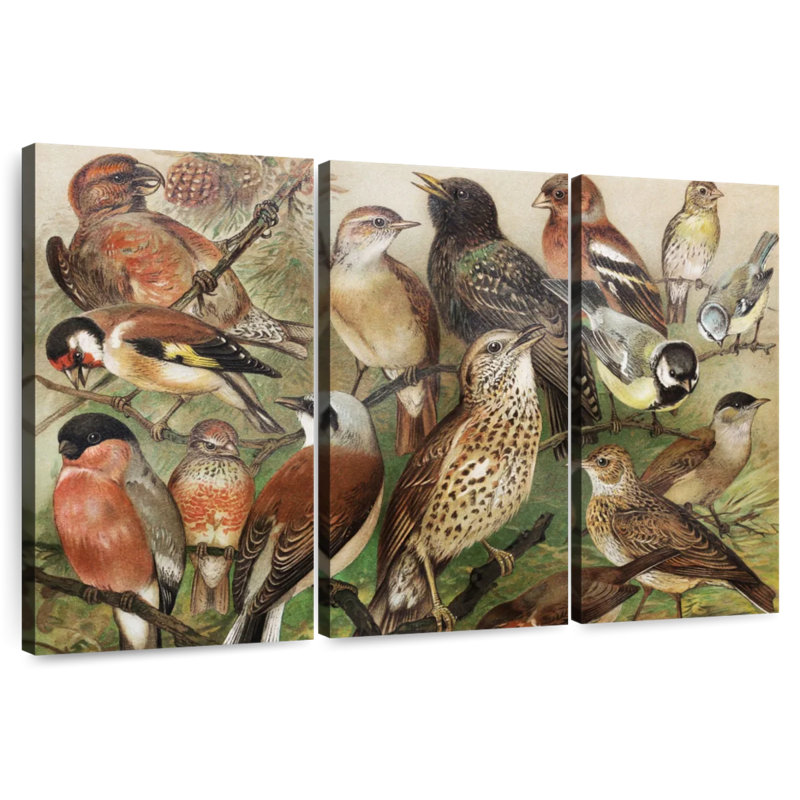 Collection d'oiseaux botaniques Brampt I, H 20 po x l 33 po