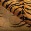 Trad Nouveau Provocative Fabric-76892291