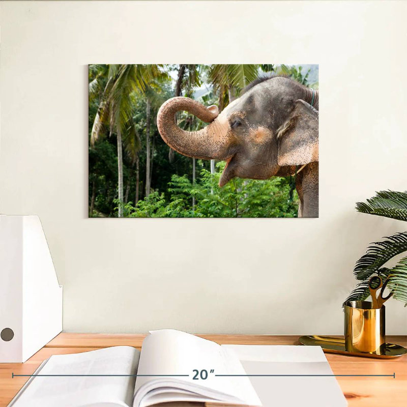 Brampt Smiling Asian Elephant, 8" H x 12" W