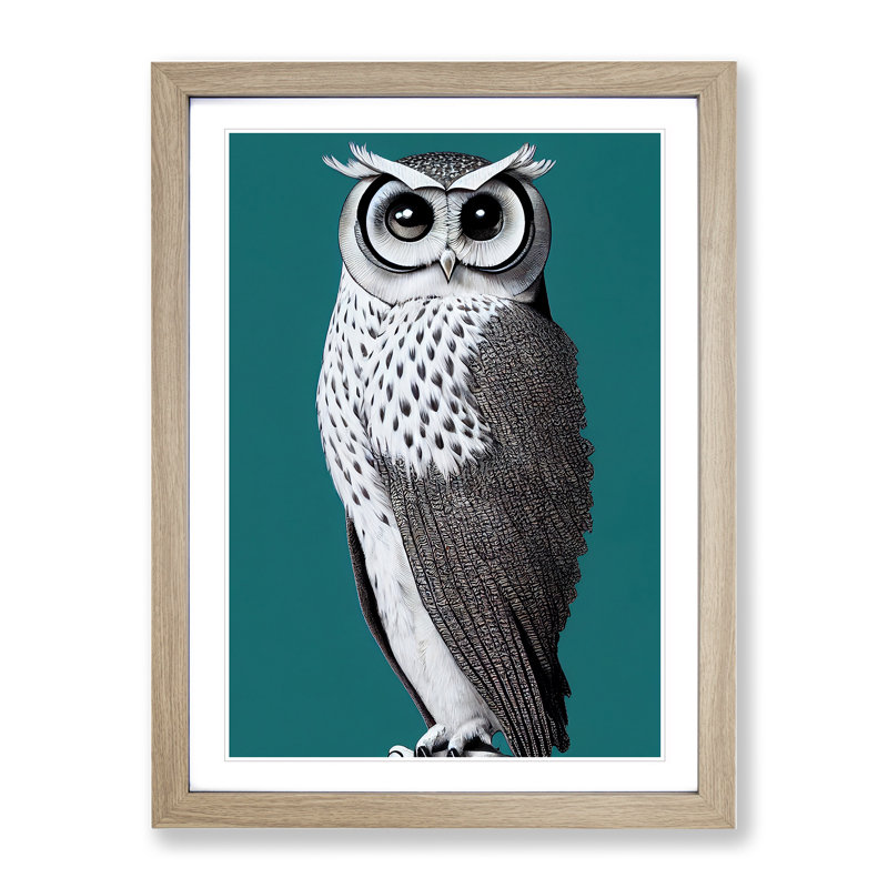 Curious Owl - Single Picture Frame Print, 64cm H x 46cm W x 2cm D, Oak