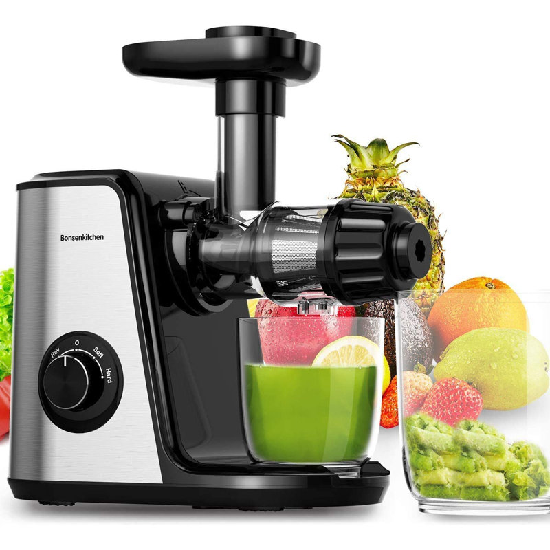 Slow Masticating Juicer Extractor