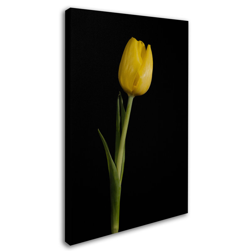 Reproduction de photo sur toile tendue Keona, H 24 po x l 16 po x P 2 po