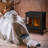 Penson 21.75'' W Ethanol,Bio-Ethanol Fireplace