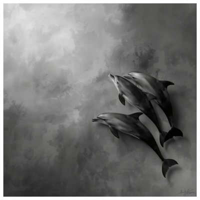 Tapis de bain Three Dolphins