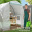 Sirita 6.5 Ft W x 8 Ft D Tunnel Greenhouse