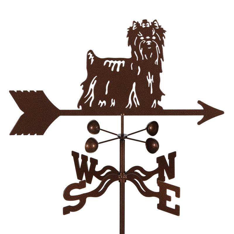 Girouette Massaoud Yorkie, Fixé au comptoir