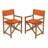 Tonora Folding Director Chair with Cushions-1646359698