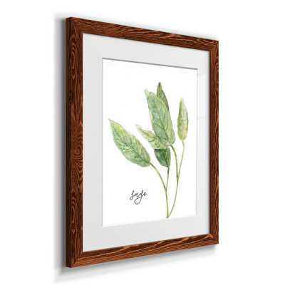 " Fresh Sprig Sage " Painting Print