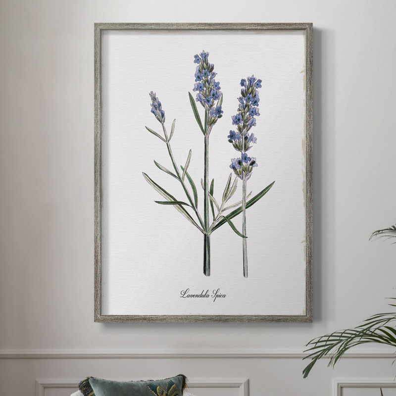 Lavender Framed Print - Solid Wood, 11" H x 9" W