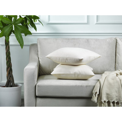 Housses de coussin décoratif