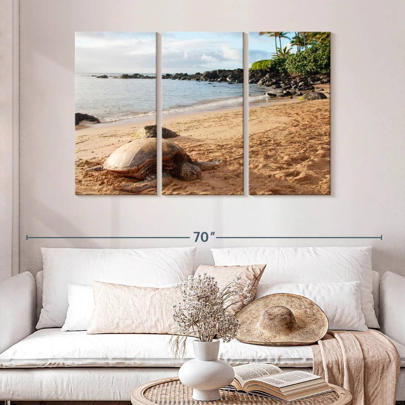 Brampt Turtle Beach, 32" H x 50" W