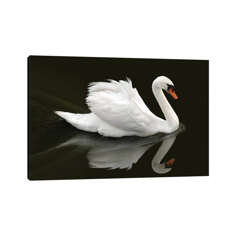 Swan by Ben Heine - Wrapped Canvas Print, 66.04 cm H x 45.72 cm W x 1.91 cm D