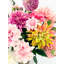Arrangement de dahlias vibrant dans un vase en laiton