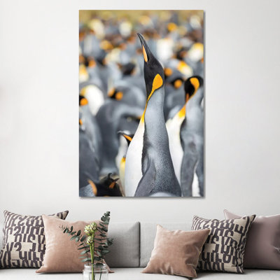 King Penguin On Falkland Islands. by Martin Zwick - Wrapped Canvas Gallery-Wrapped Canvas Giclée