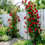 Tonnelle de jardin en métal avec panneaux latéraux en treillis Scendor H 88,6 po x l 50,8 po