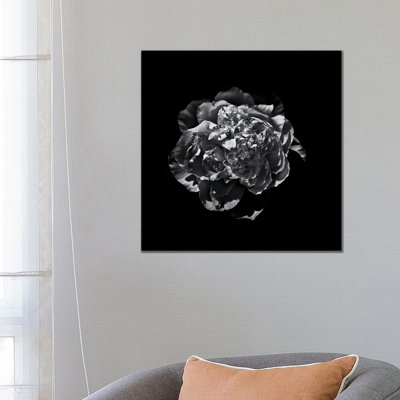 Black And White Camelia III 1 Piece Wrapped Canvas Wall Art
