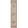 Oriental Indoor Rug