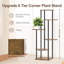 Plant Stand - Set of 6