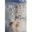 Into The Night - Wrapped Canvas Painting