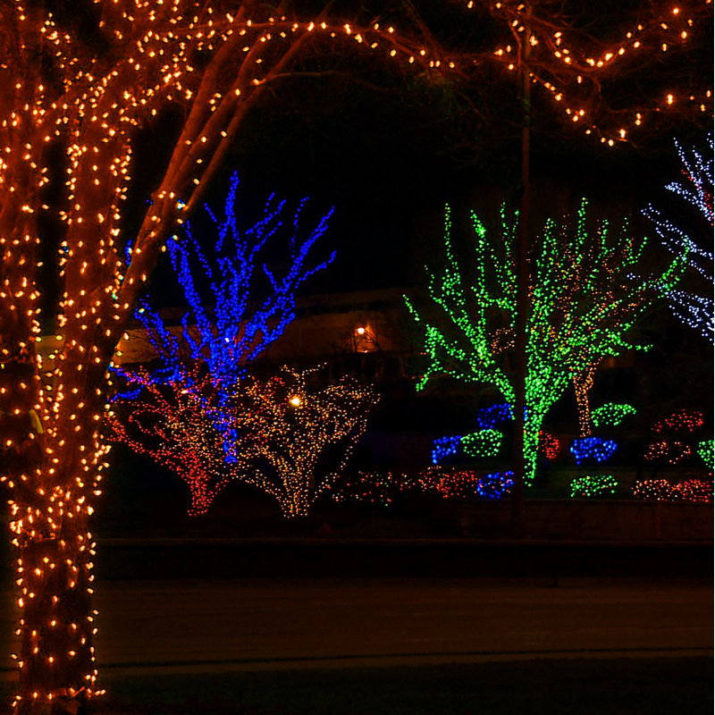 70 guirlandes de 70 lumières, Orange, 50 lumières