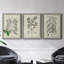 Antique Black and White Botanical VII - Ensemble de 3 reproductions d'art sur toile-282180062-282180061