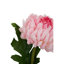 Fiori Chrysanthemum Arrangement