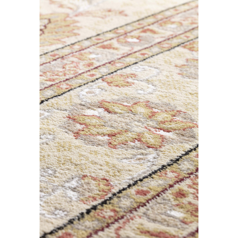 Abbeyville Oriental Area Rug, Rectangle 80 x 160cm