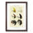 Walnut Framed selected