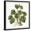 Exotic Palms - reproduction de cadre photo-951736085