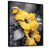Black Floater Framed