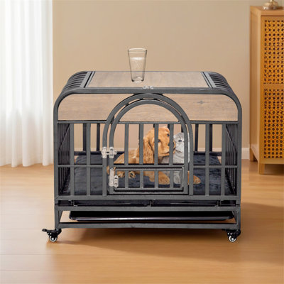 Caisse pour chien 46 po