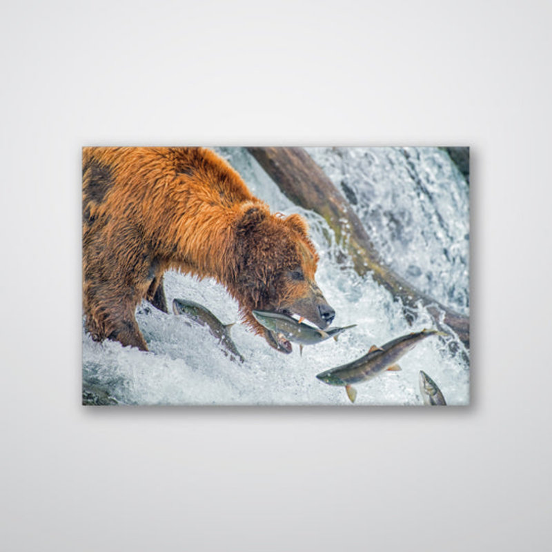 Ours nourrissant une reproduction - faune, art mural - scène de pêche avec ours, affiche sur toile - forêt de rivière, reproduction de chalet rustique
