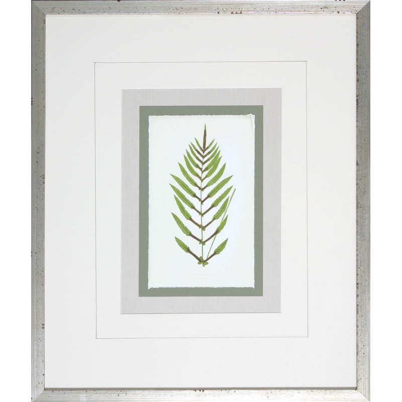 Fern4 - Cadre photo, impression sur papier