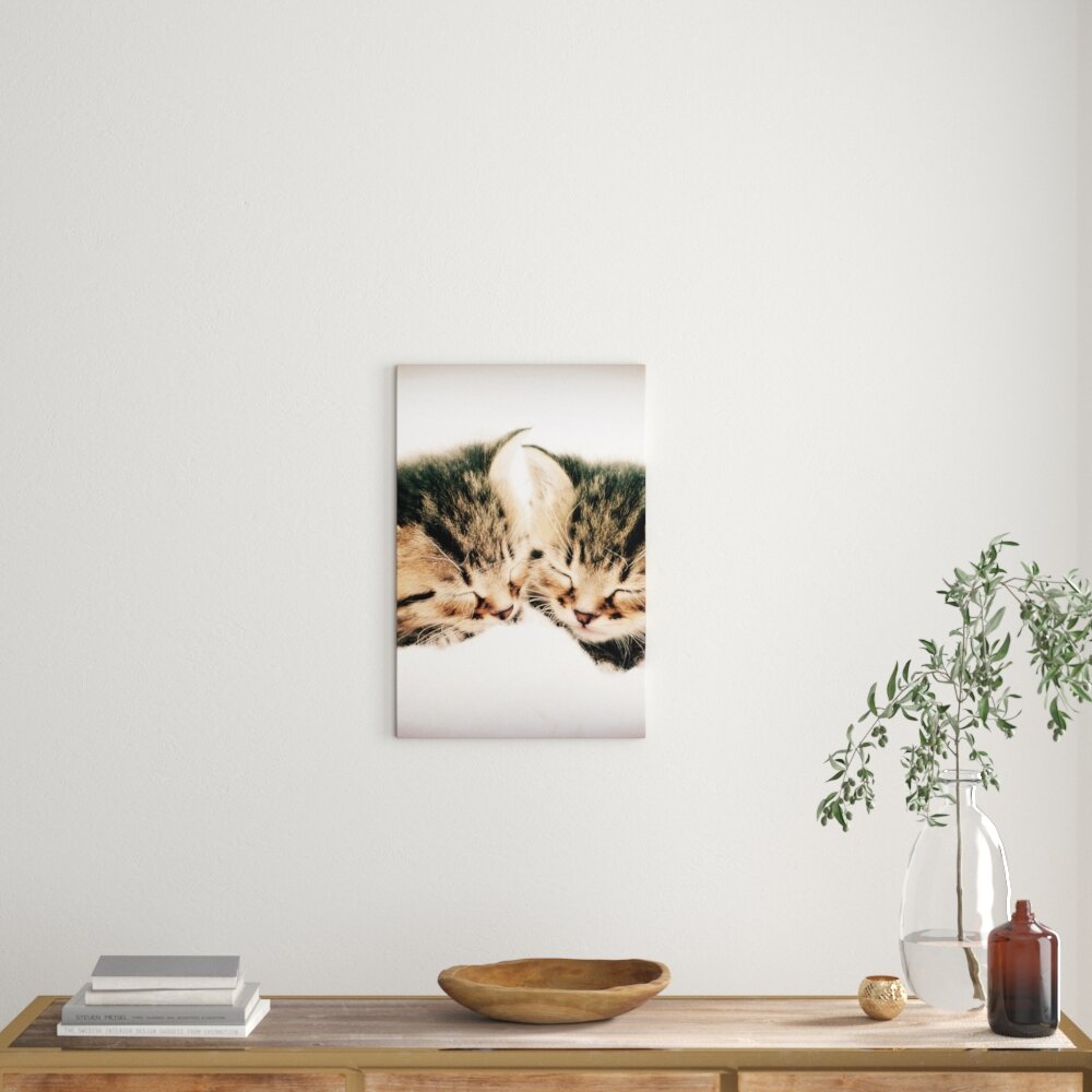 Leinwandbild Katzen Herzform, Fotodruck