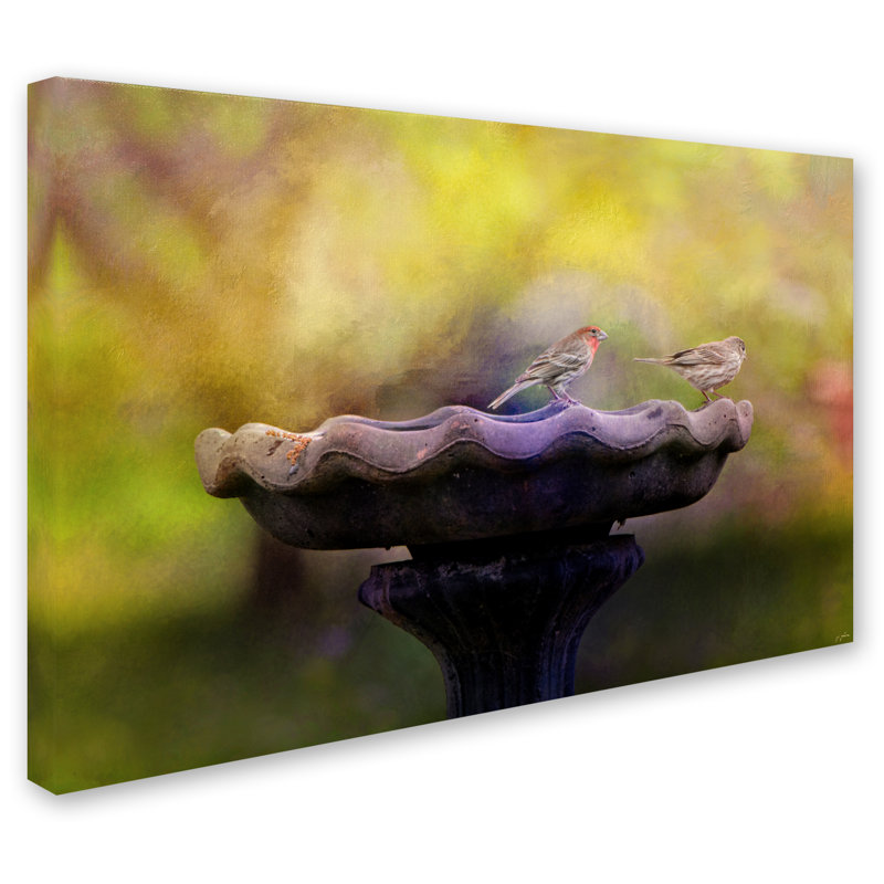 Finches on Stone Bird Bath Canvas Art, 20" x 25"