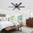 56" Modern Indoor Ceiling Fan with Remote Control, 6-Blade Ceiling Fan with Quiet Reversible DC Motor, Black & Walnut Finish-129389764