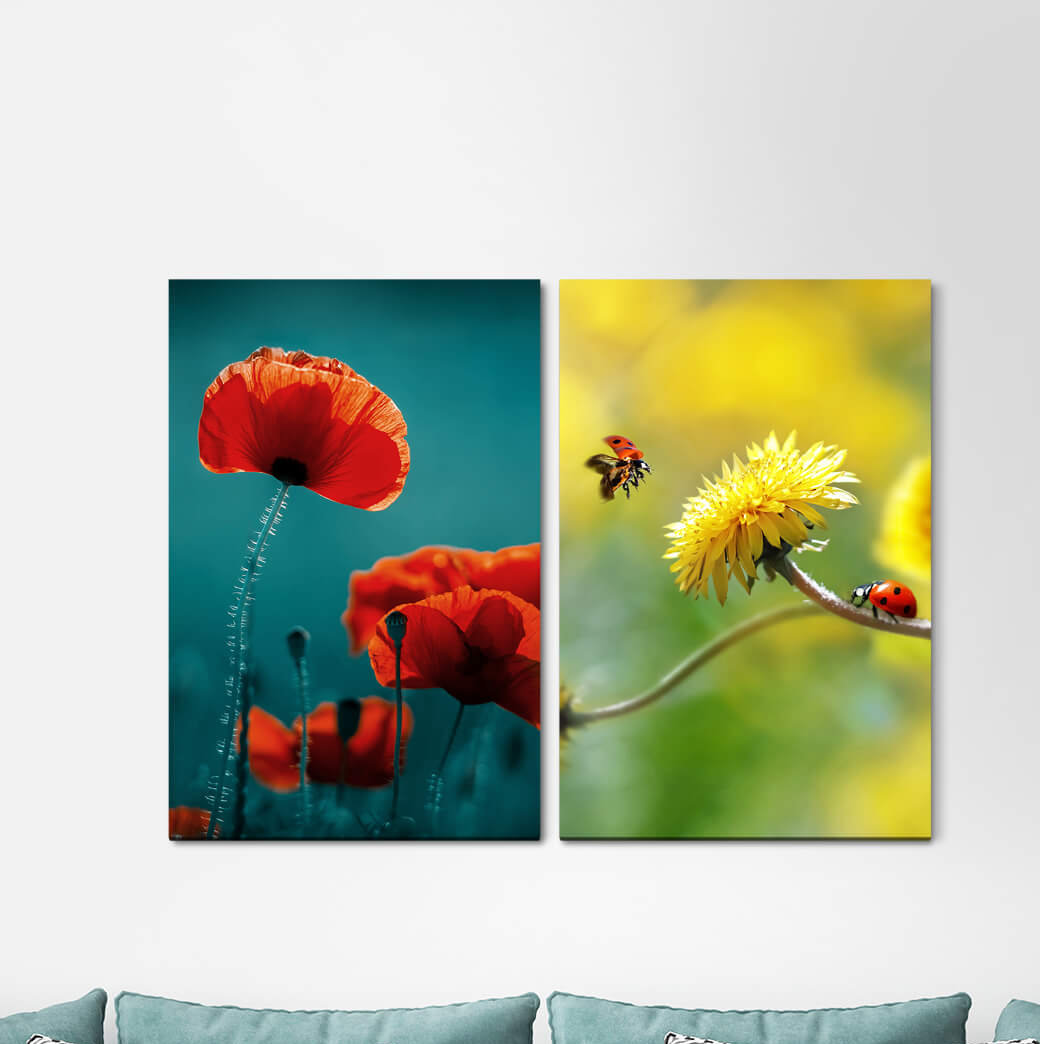 2-tlg. Leinwandbilder-Set Poppy Flower Ladybird Summer Dandelion Flowers Warmth Sun