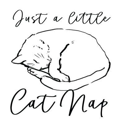 Cap Nap - Wrapped Canvas Print