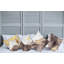 Housse de coussin Millersburg-643862903-643862897