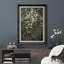 «Flower Blossom Blossom Tree Green Wild Flower Nature», reproduction d'art encadrée-91356227-91356223