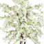 Faux Cherry Blossom Tree Plant in Fiberstone-1470986132