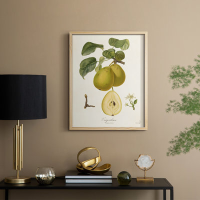 Vintage Pears III, reproduction encadrée - bois massif
