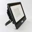 Amie-Lee Floodlight